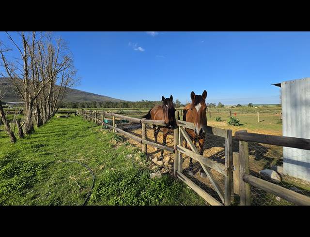 128,480M² FARM FOR SALE IN GREYTON